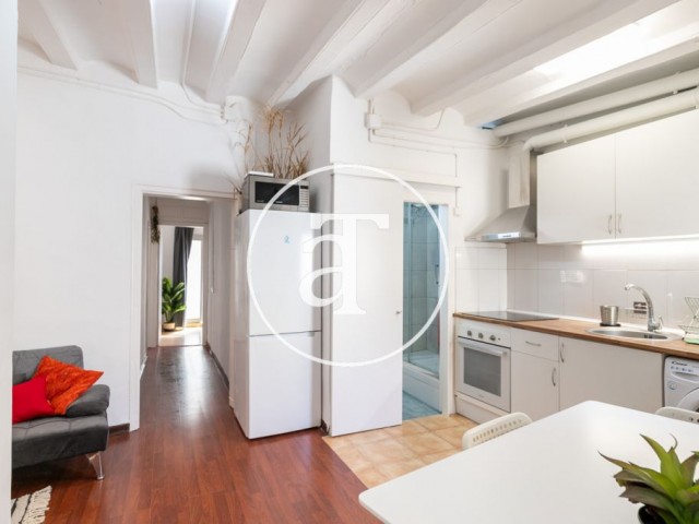 Monthly rental apartment with 2 bedrooms in Carrer de Ferlandina