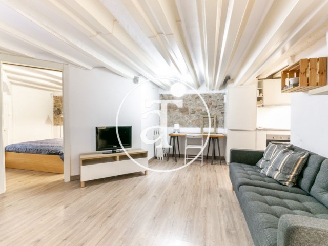 Monthly rental apartment in central area of Barcelona