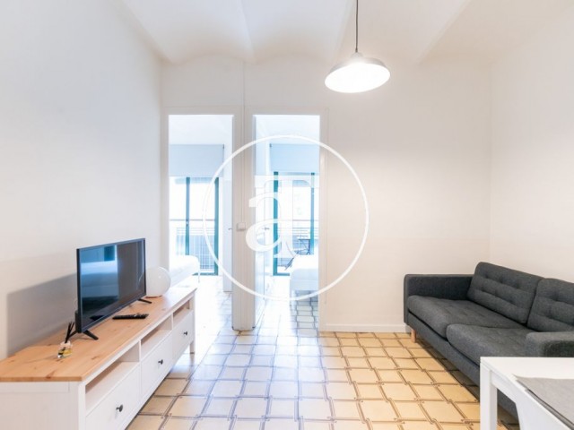 Monthly rental apartment with 2-bedroom in Poblenou
